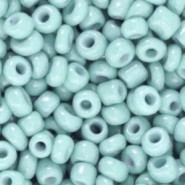 Glas rocailles kralen 6/0 (4mm) Pale blue